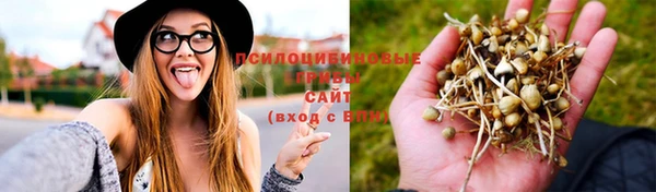 каннабис Заволжье
