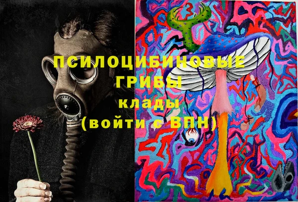 таблы Заводоуковск