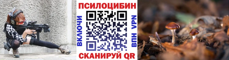 купить наркотики сайты Калининск Псилоцибиновые грибы мицелий